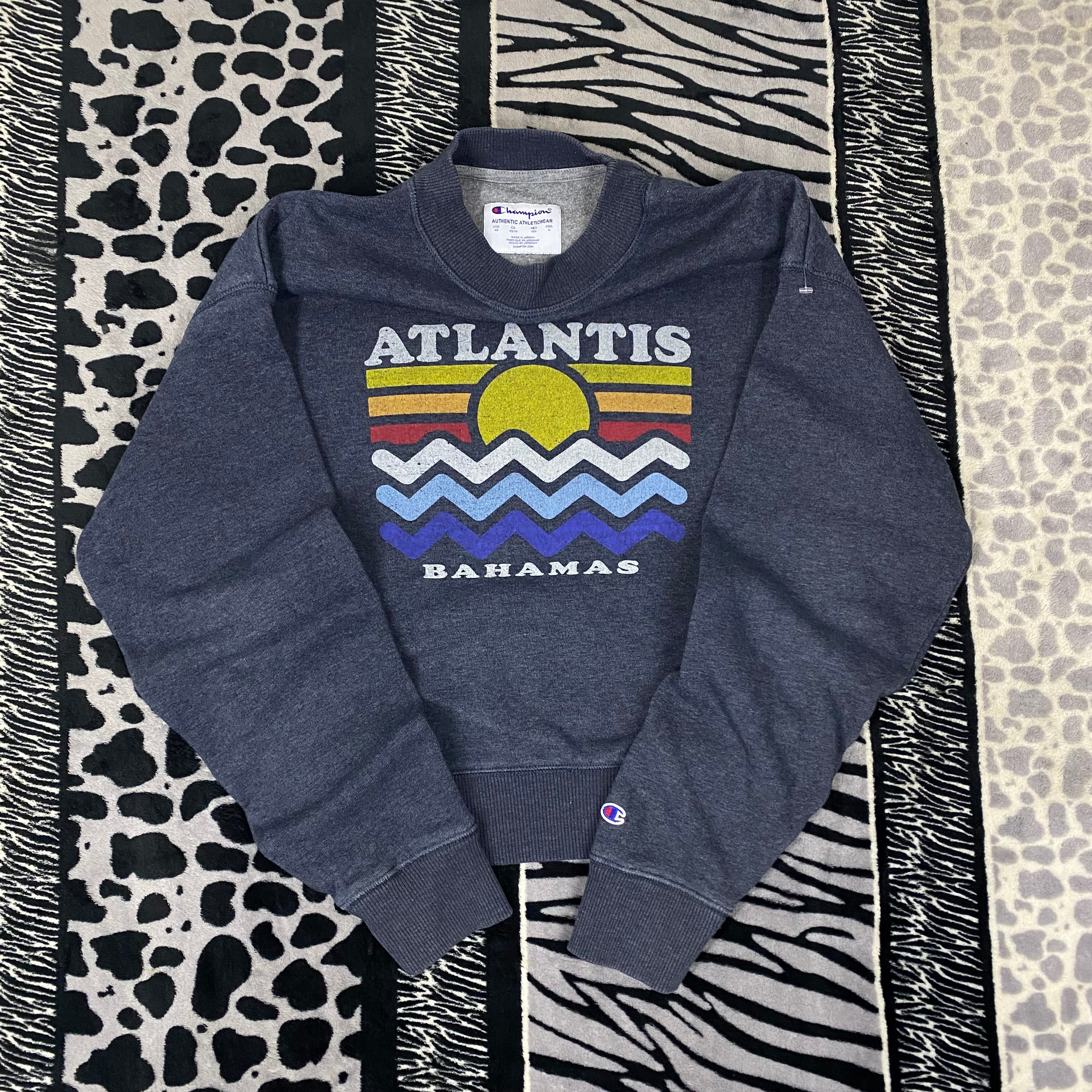 Sudadera Champion “Atlantis”