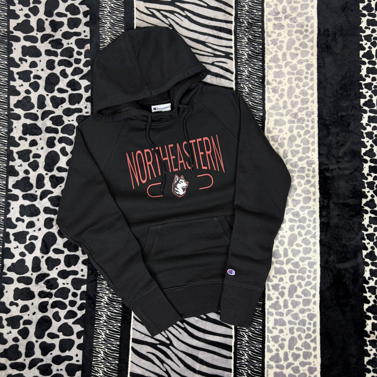 Sudadera Champion “Northeastern”