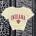 Top Champion “Indiana”