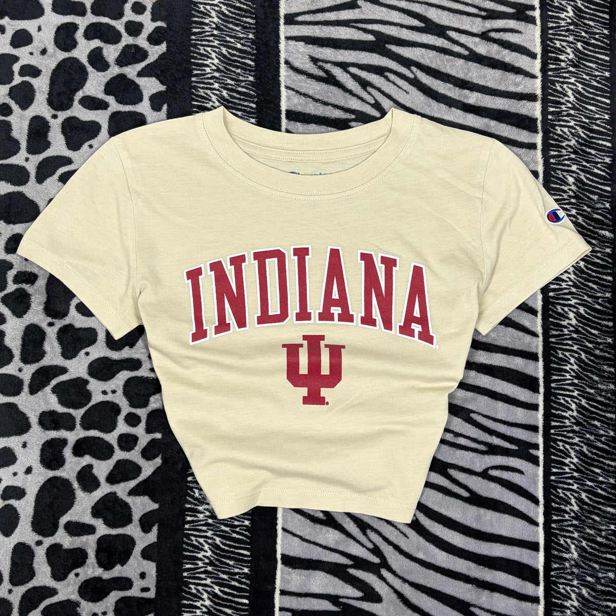 Top Champion “Indiana”