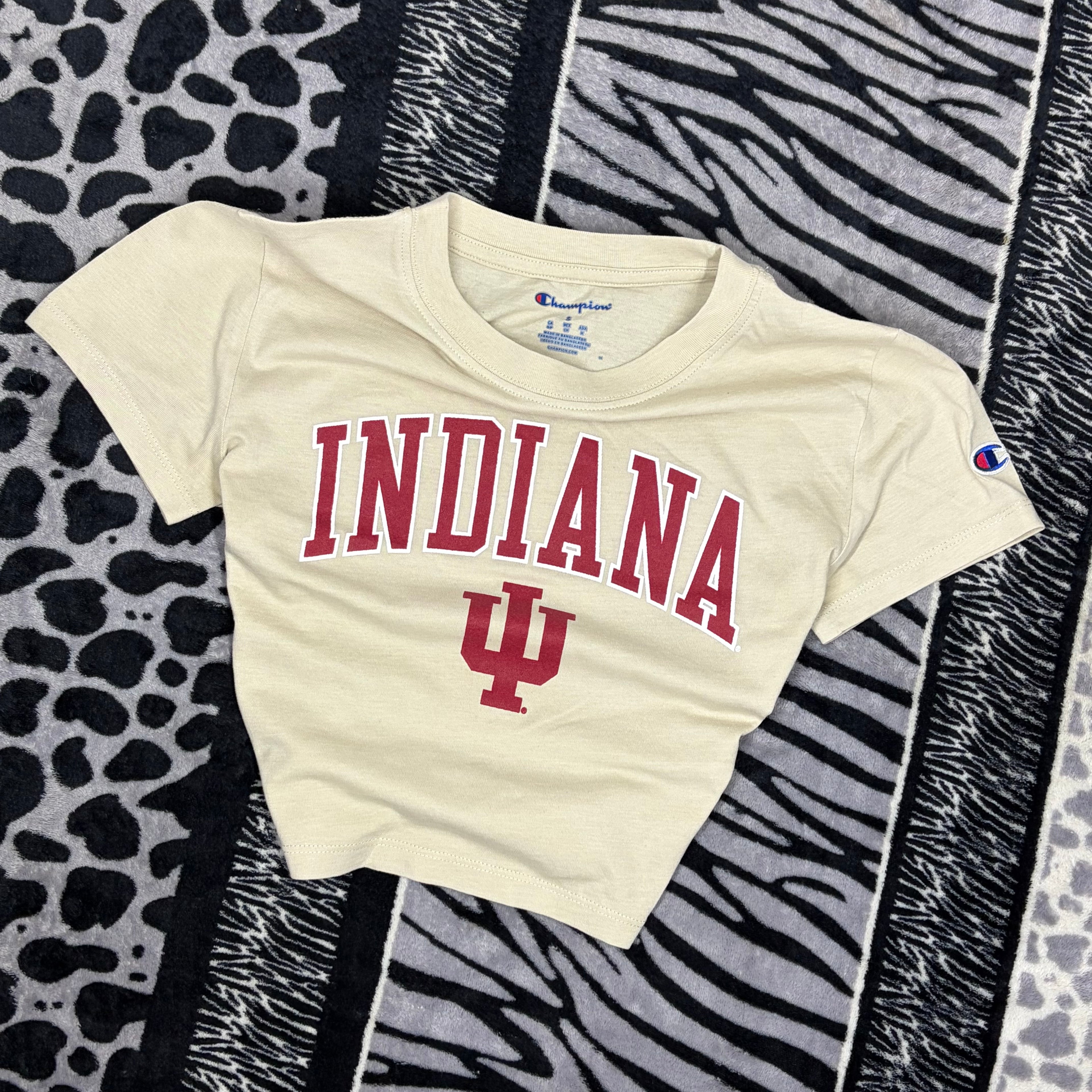 Top Champion “Indiana”