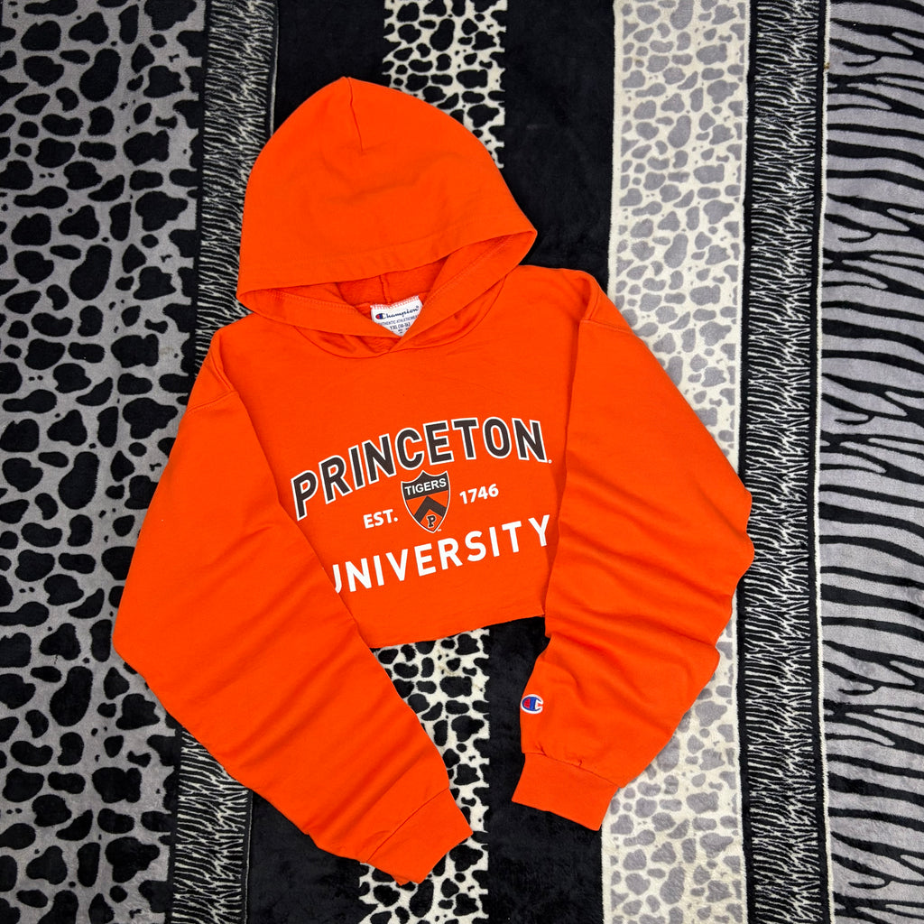 Sudadera Champion “Princeton”
