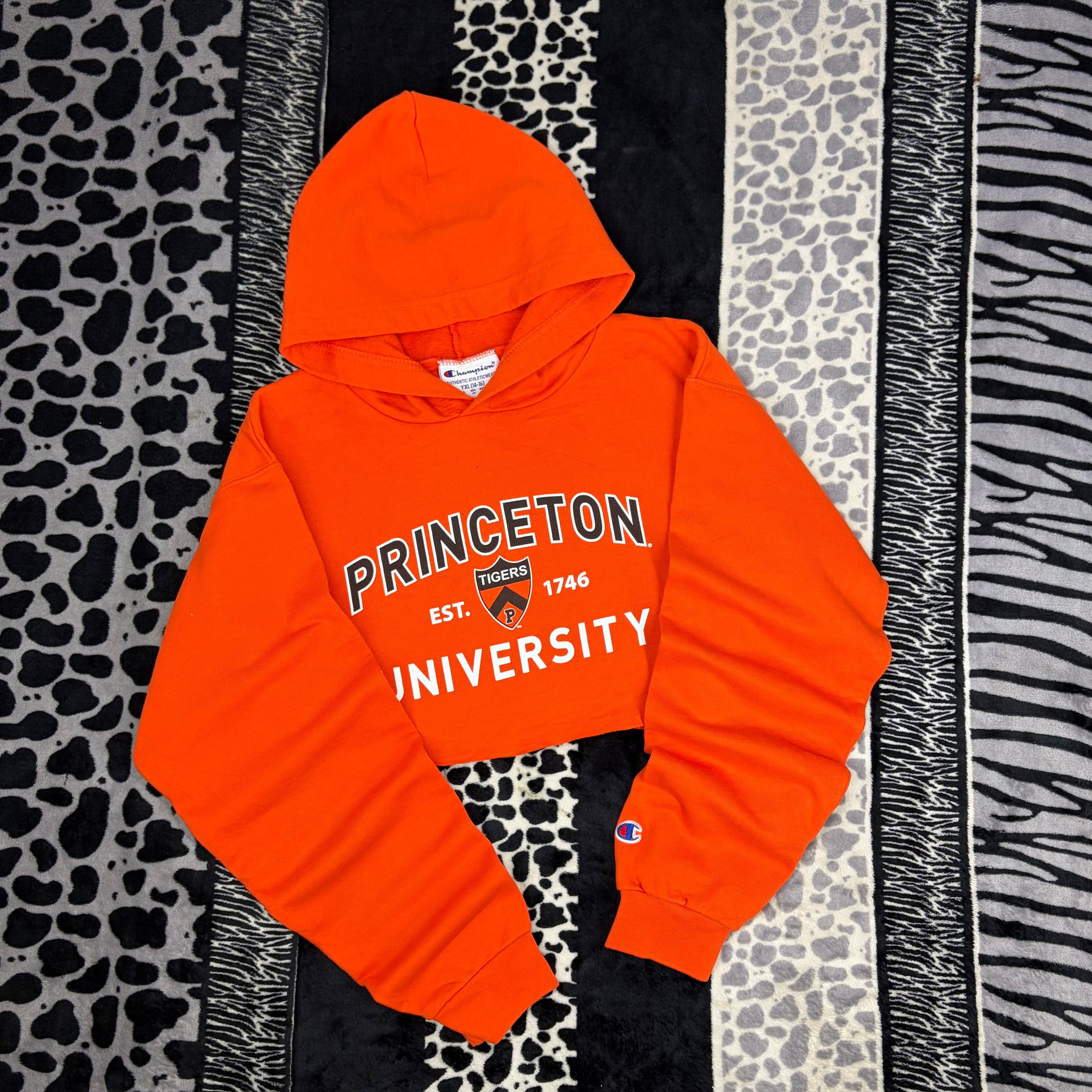Sudadera Champion “Princeton”