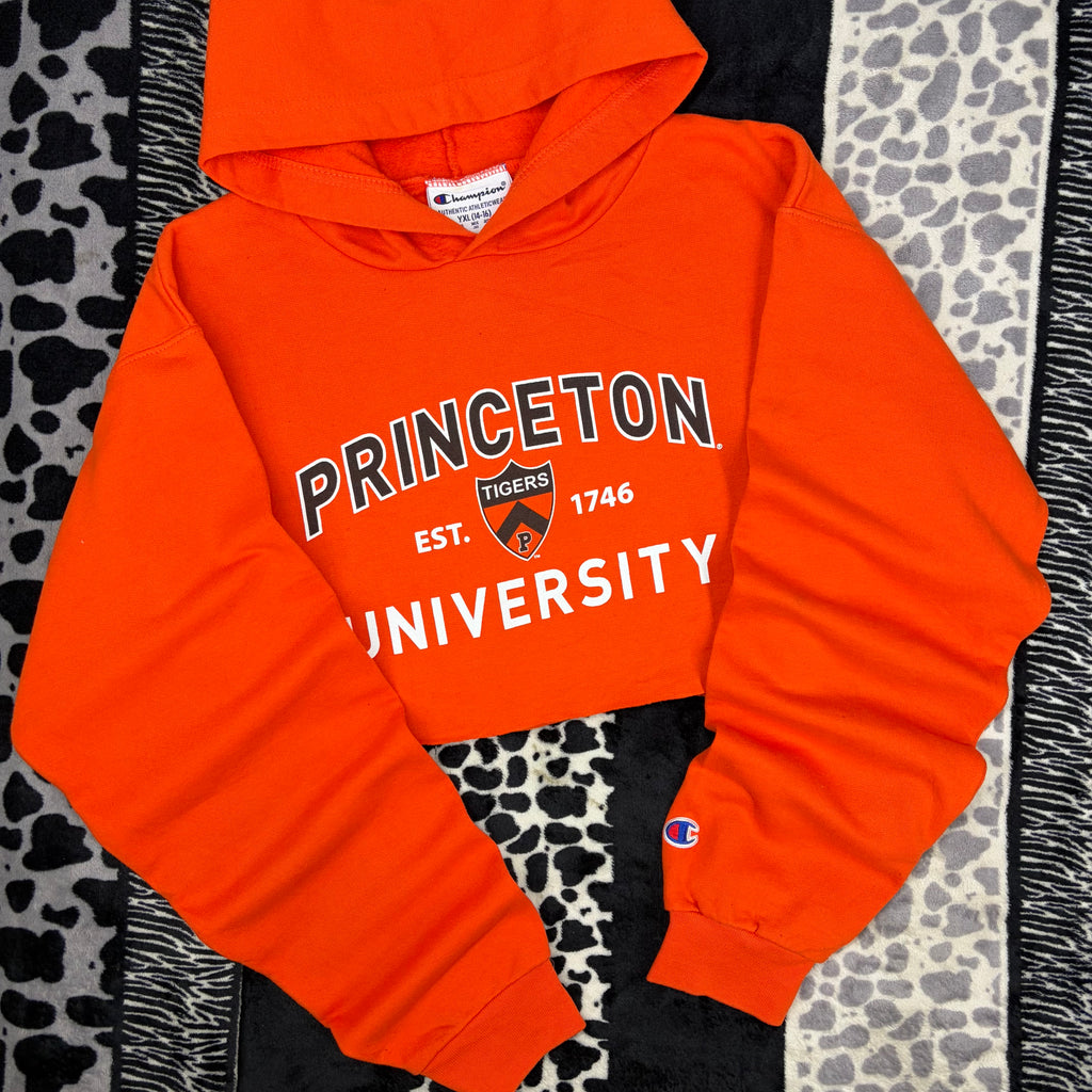Sudadera Champion “Princeton”