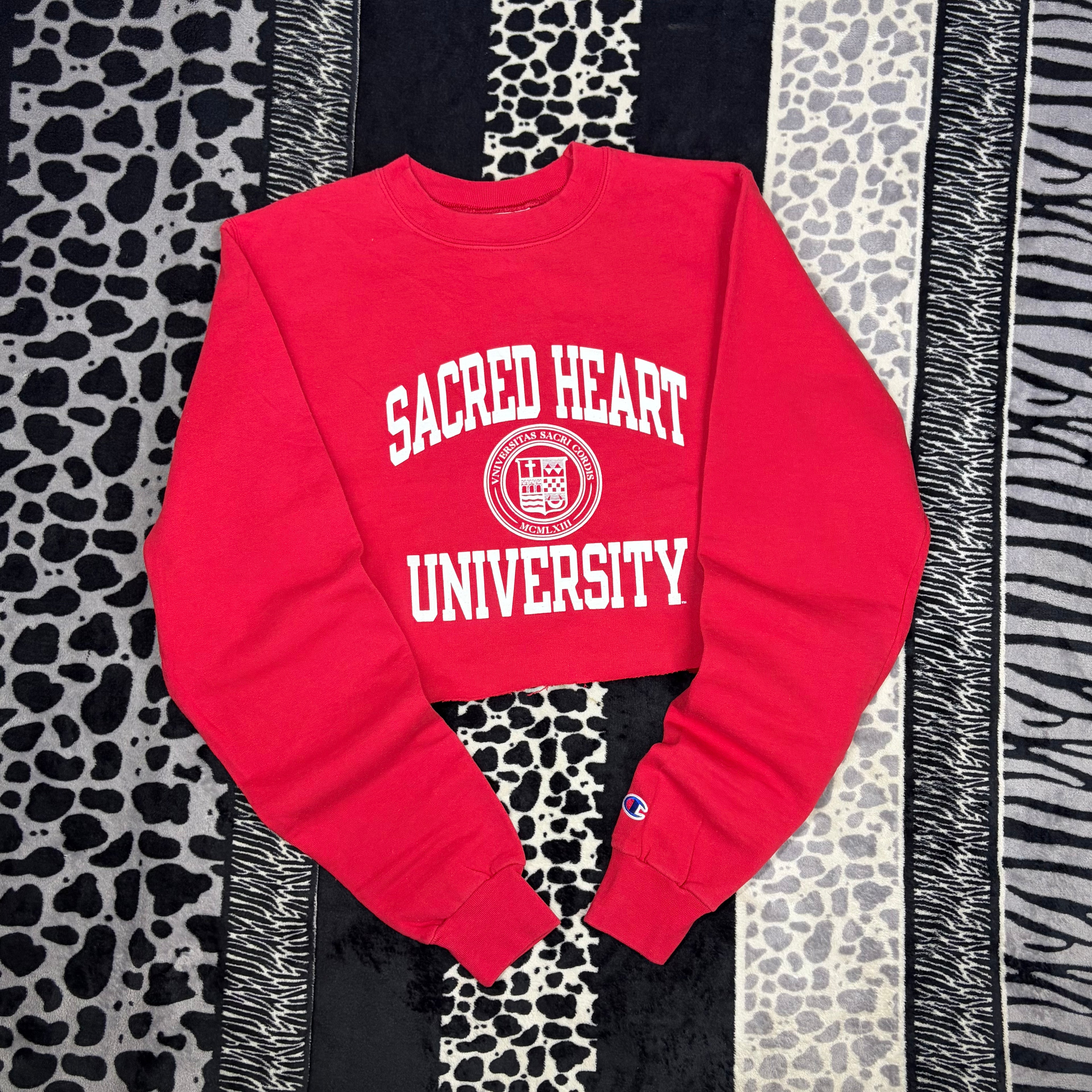 Sudadera Champion “Sacred Heart”