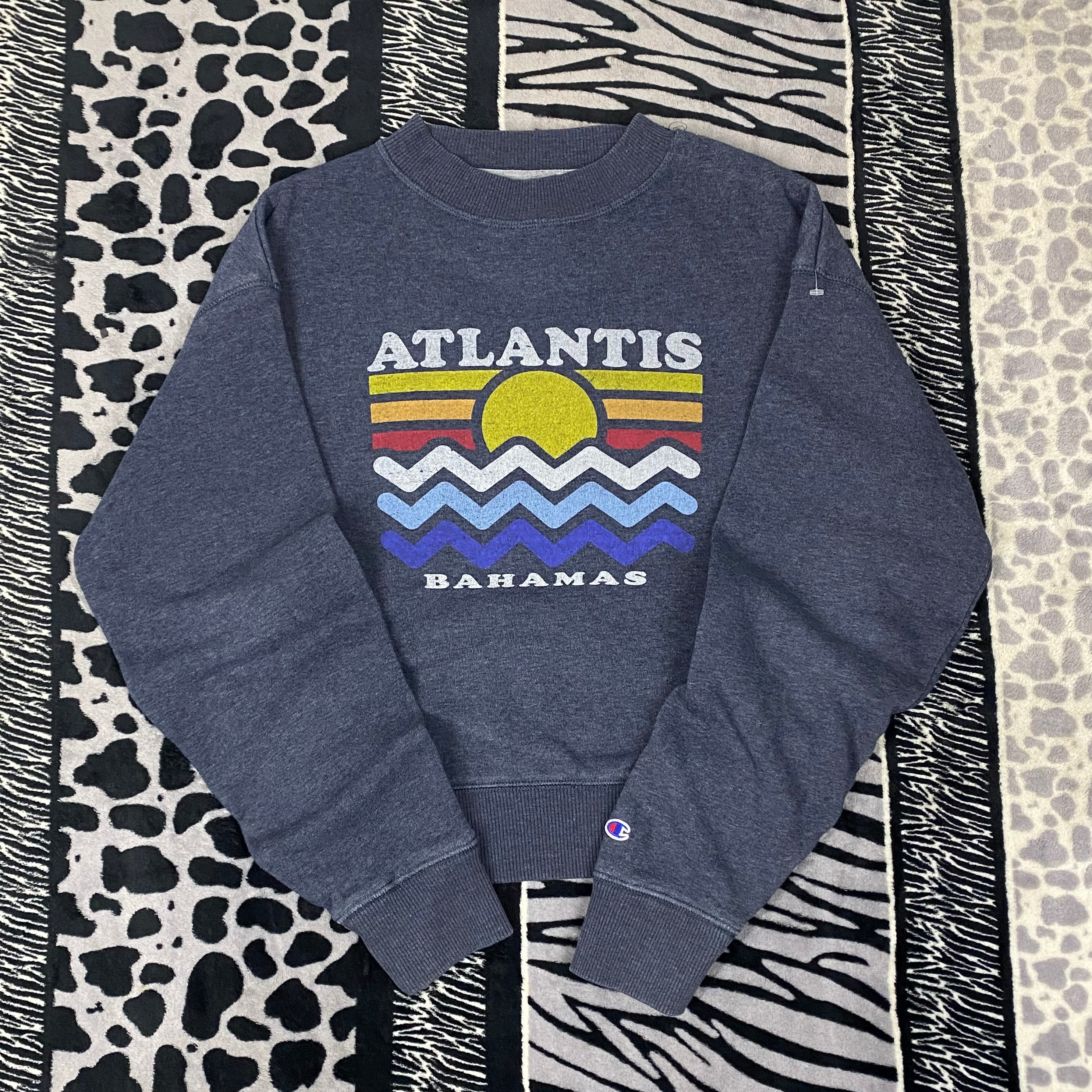 Sudadera Champion “Atlantis”