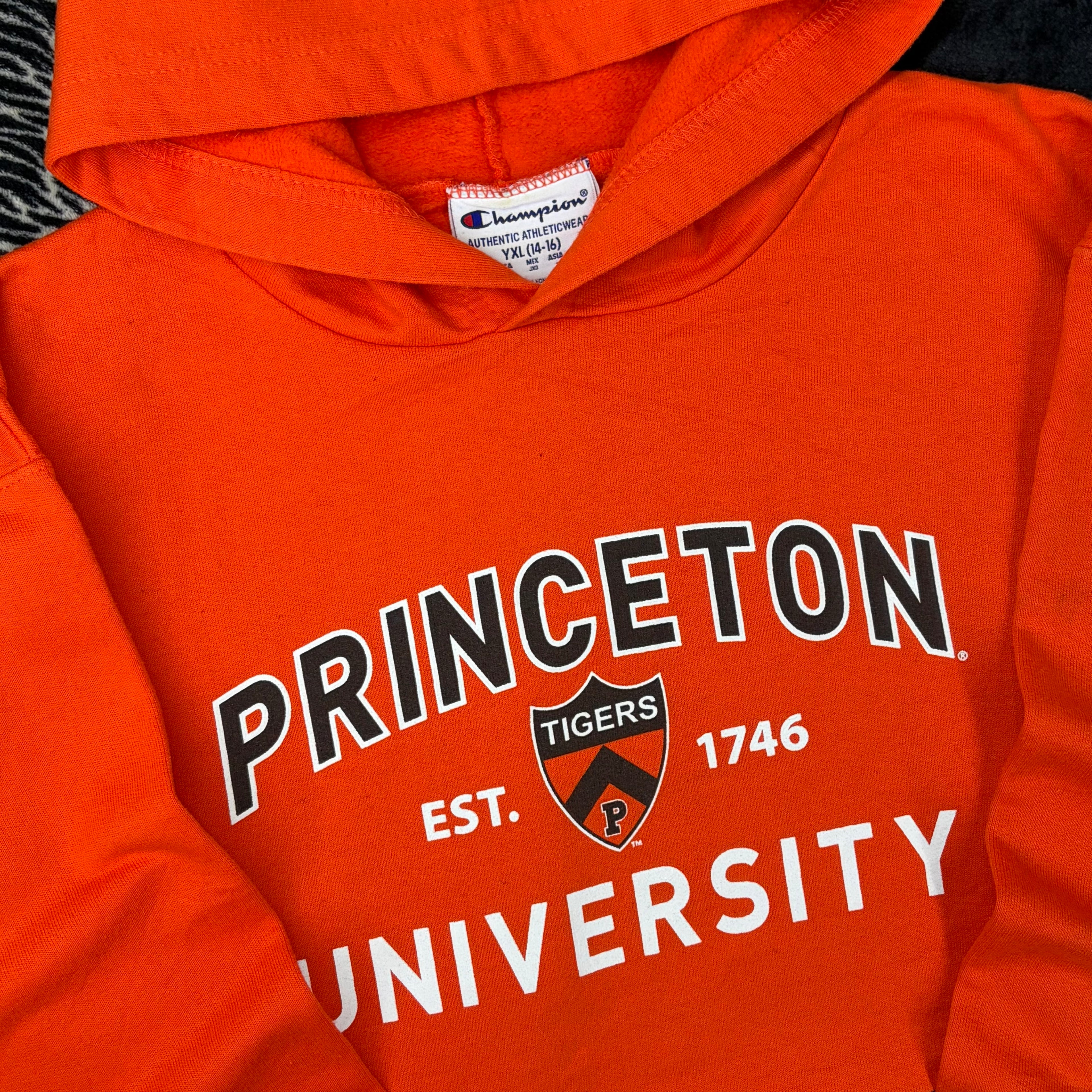 Sudadera Champion “Princeton”
