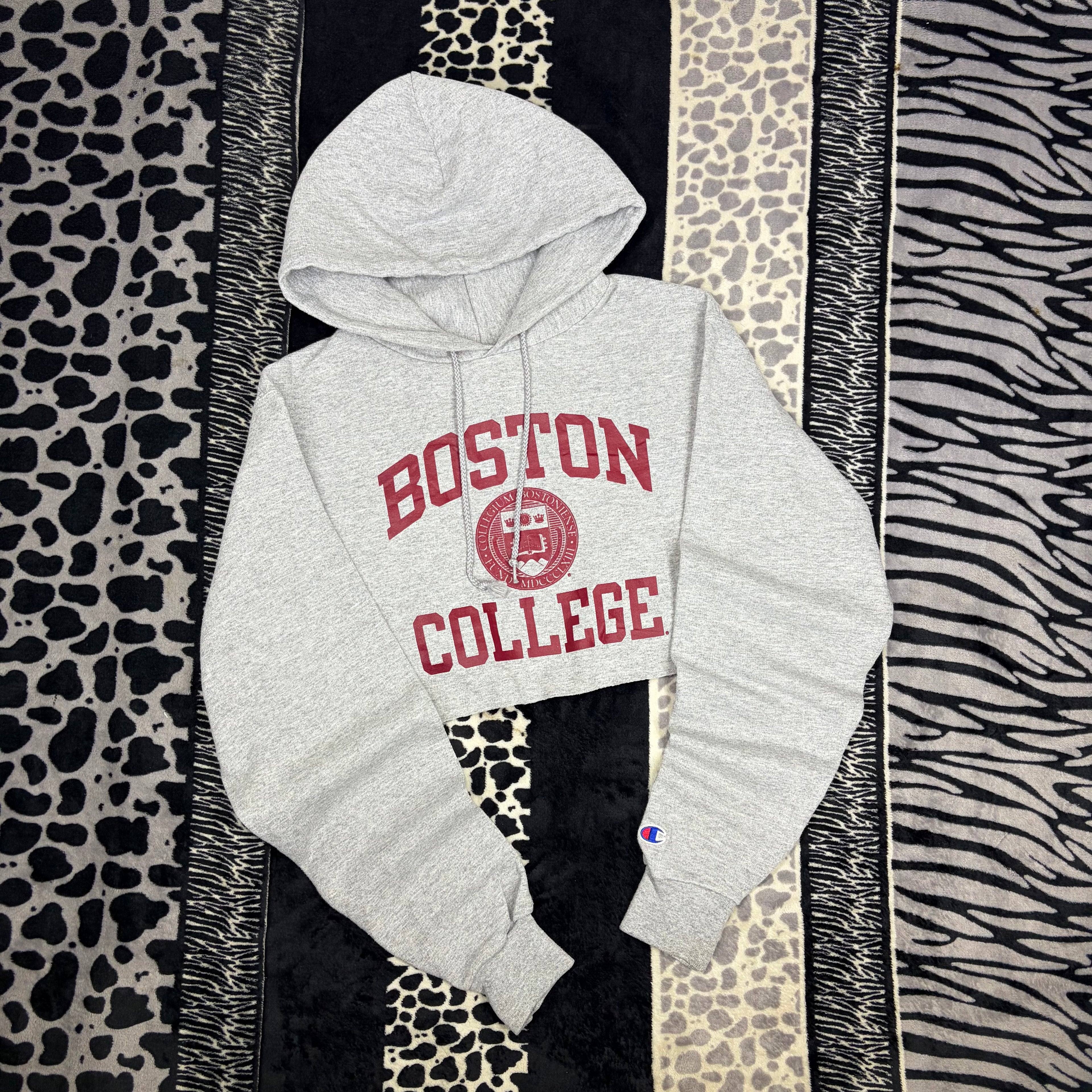 Sudadera Champion “Boston”